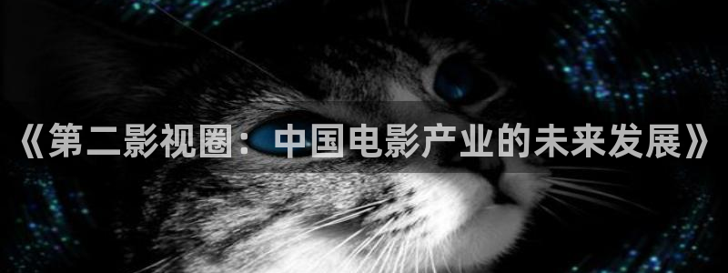 秋霞第九影院：《第二影视圈：中国电影产业的未来发展》