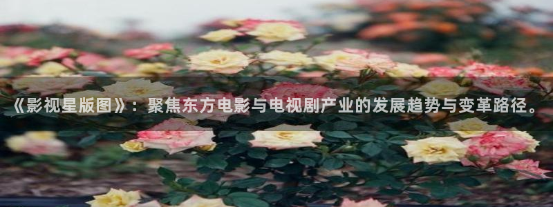 第九影院大全