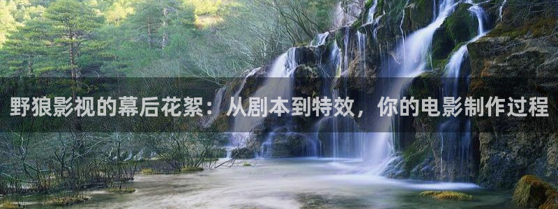 花花影院第九影院