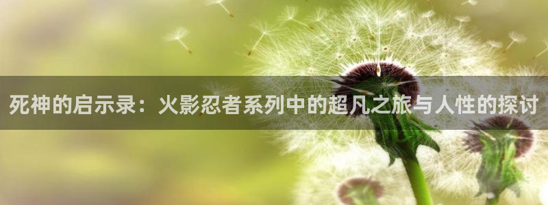 神马电影网电影院第九