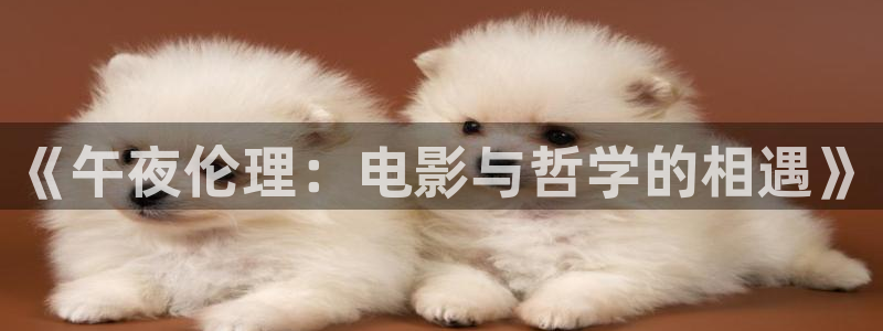 第九电影院：《午夜伦理：电影与哲学的相遇》