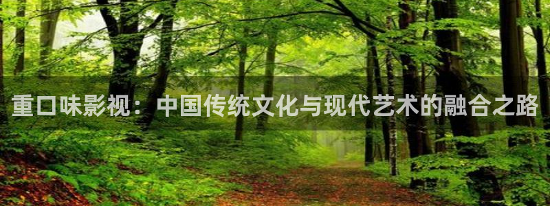 第九电影伦理：重口味影视：中国传统文化与现代艺术的融合之路