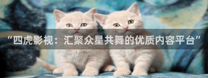神马第九午夜影院：“四虎影视：汇聚众星共舞的优质内容平台”