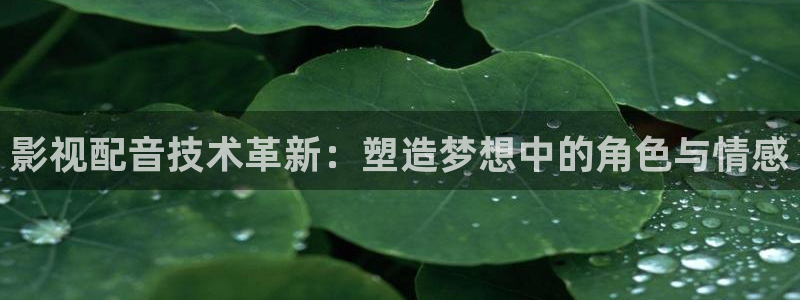 第九视频：影视配音技术革新：塑造梦想中的角色与情感