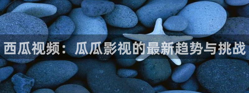 神马影院第九不卡：西瓜视频：瓜瓜影视的最新趋势与挑战