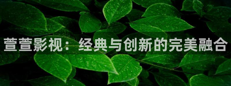 达达兔第九老子影院：萱萱影视：经典与创新的完美融合