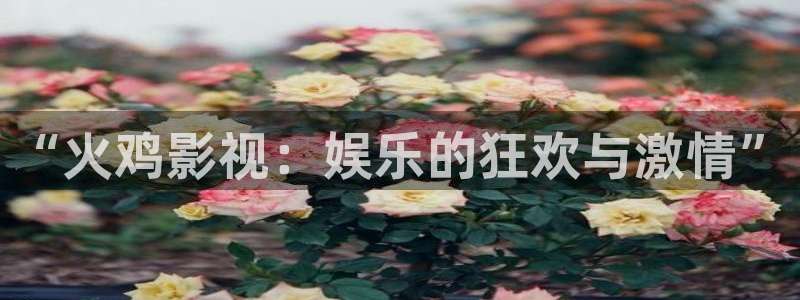 第九电影在线观看最新：“火鸡影视：娱乐的狂欢与激情”